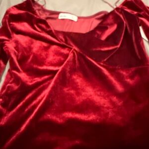 Elodie Rich Burgundy Velvet Top
